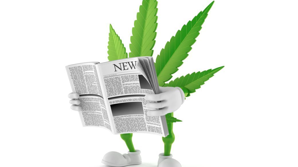 Recent marijuana legislation in Tampa FL